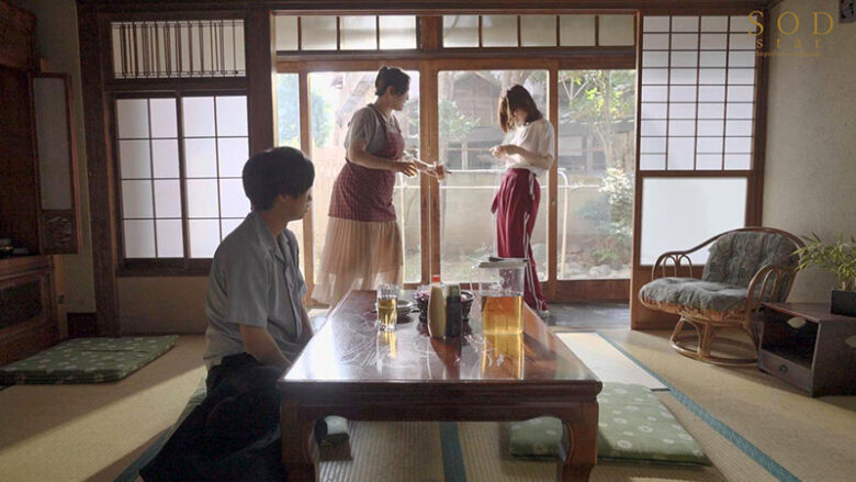 数年ぶりに帰省すると、アラサーの姉は未だに自称家事手伝い(ニート)の喪女だった。 隠れ巨乳の姉(26) 天宮花南 5枚目